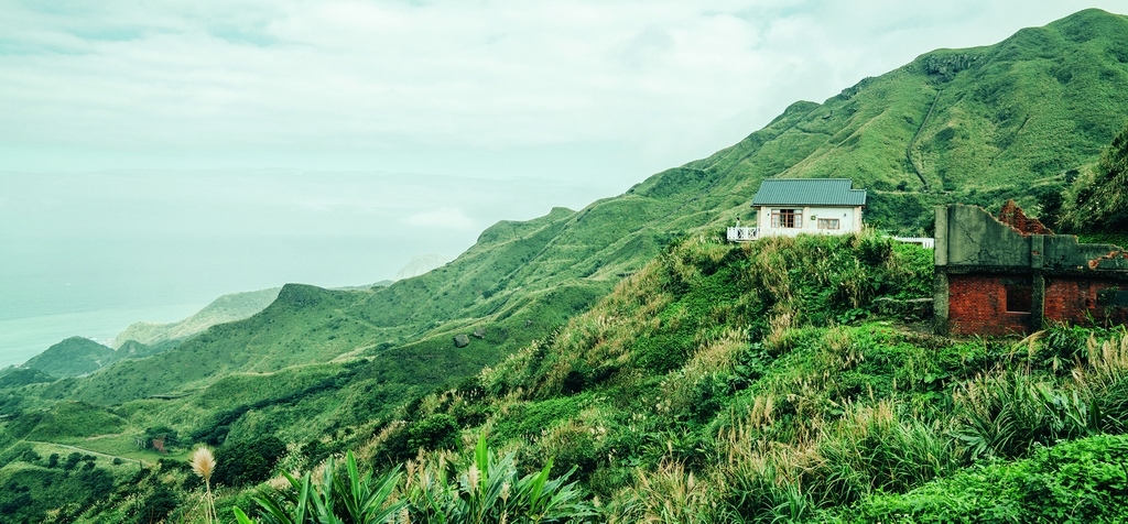 八馬國際我們寫歷史細胞營養