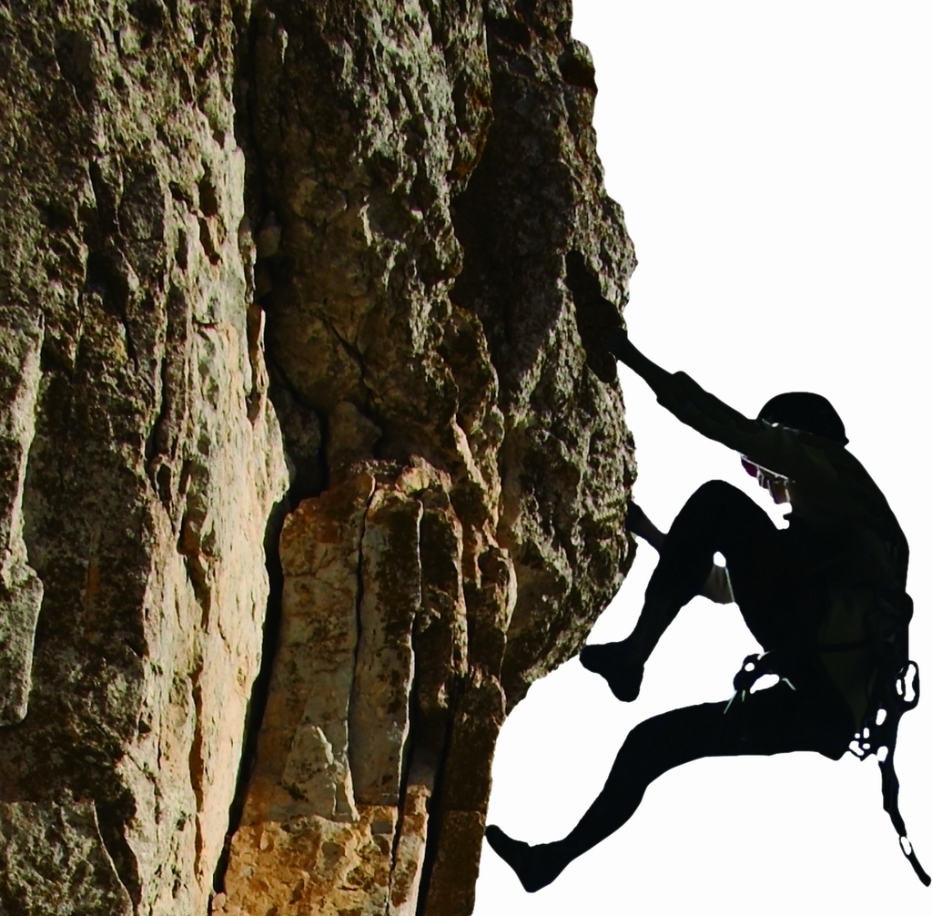 八馬國際的企業身影細胞營養