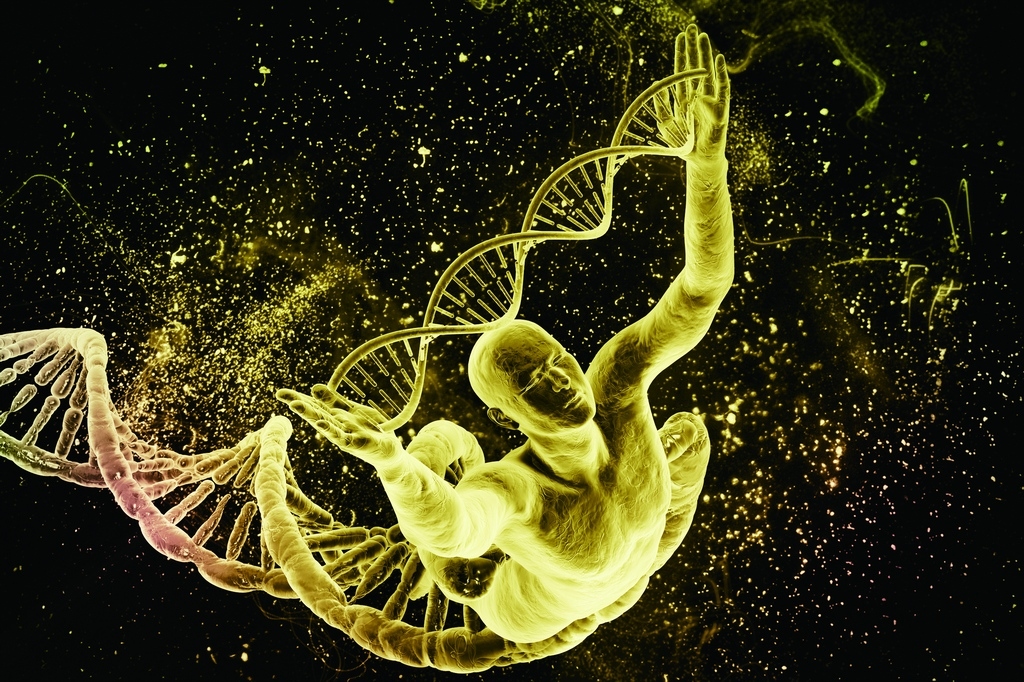 八馬國際不老的奧秘細胞營養