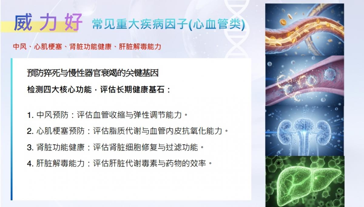2026 Total Swiss 馬來西亞大會（五），威力先進將三十年的基因結晶變成「好穩輕鬆活」口訣，分享「早知道」與「細胞營養」的力量圖細胞營養之6