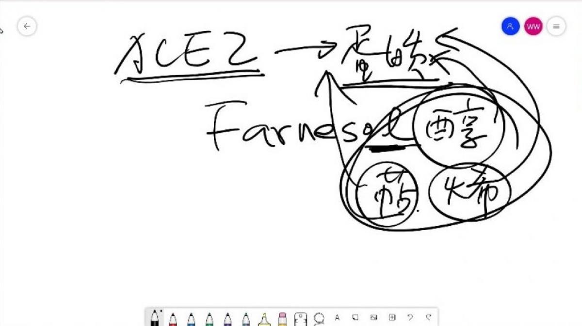 五大健康論述總複習，用標準化致勝全球市場(二)圖細胞營養之6