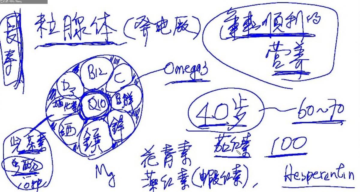 五大健康論述總複習，用標準化致勝全球市場(一)圖細胞營養之3