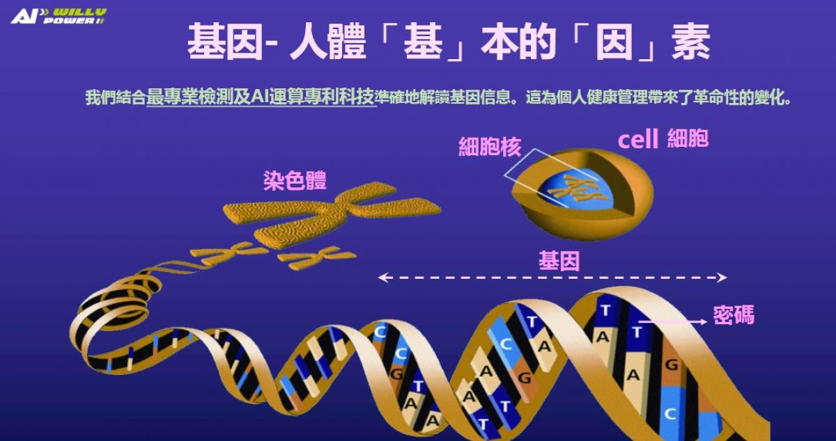 2026 Total Swiss 馬來西亞大會（四），部長想投資、總統被折服、NVIDIA搶合作，陳博士引導夥伴用威力棒守護健康創造財富圖細胞營養之5